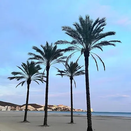 A 50 M De La Cullera